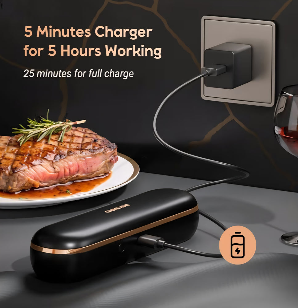 INKBIRD Wireless BBQ Thermometer INT-11P-B Bluetooth Wire-free Food Probe